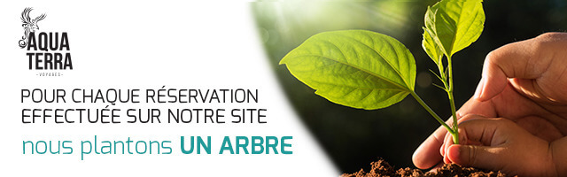 Pour chaque réservation effectuée sur notre site nous plantons un arbre.